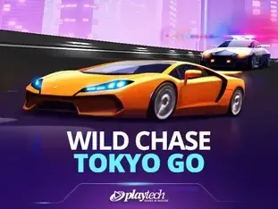Wild Chase Tokyo Go game icon